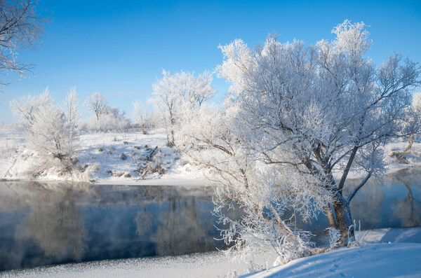 美丽冬天雪景图片
