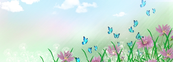 花海花卉背景图片