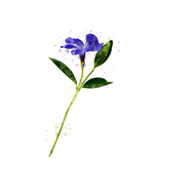 抽象手绘蓝色花卉植物水彩元素