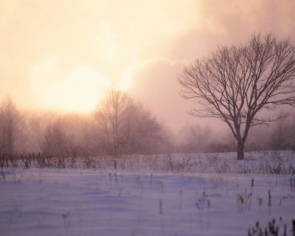 冬天雪景