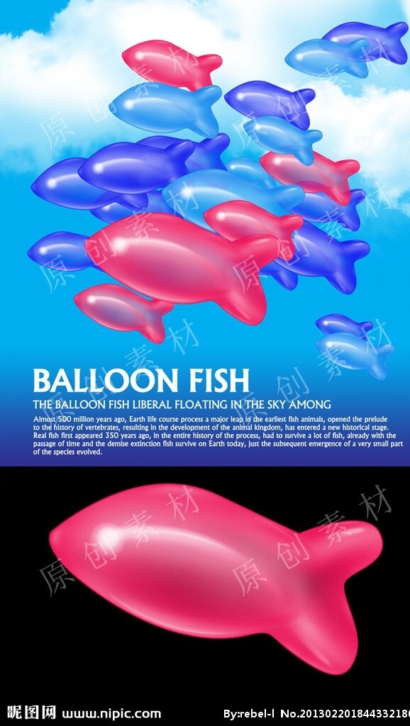 气球鱼图片