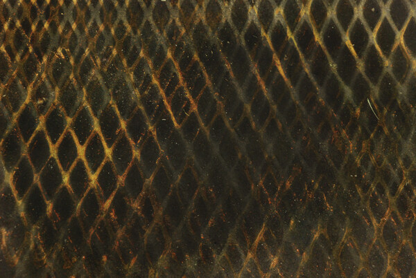 的金属栅栏和篱笆6个纹理