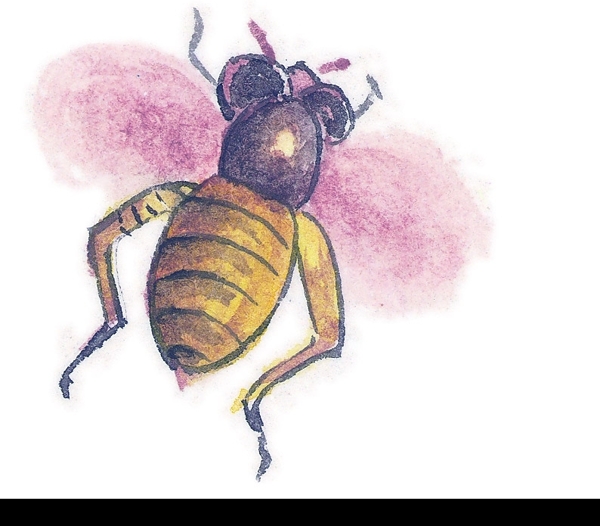 水墨风格的蜜蜂图片