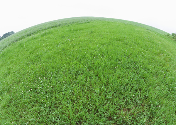圆形绿色草地高清图片素材