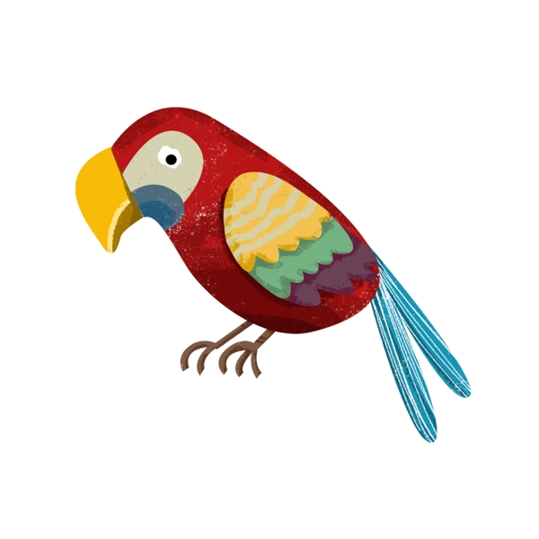 彩色羽毛的小鸟卡通元素