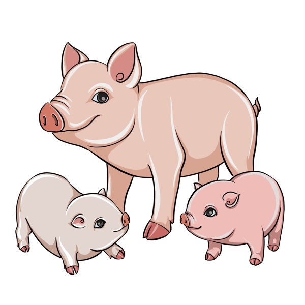 2019年可爱的小猪3