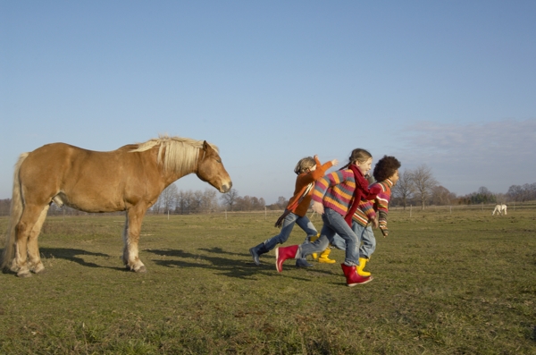草地上的儿童与马图片