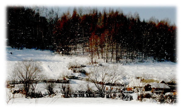 冬日农家院图片