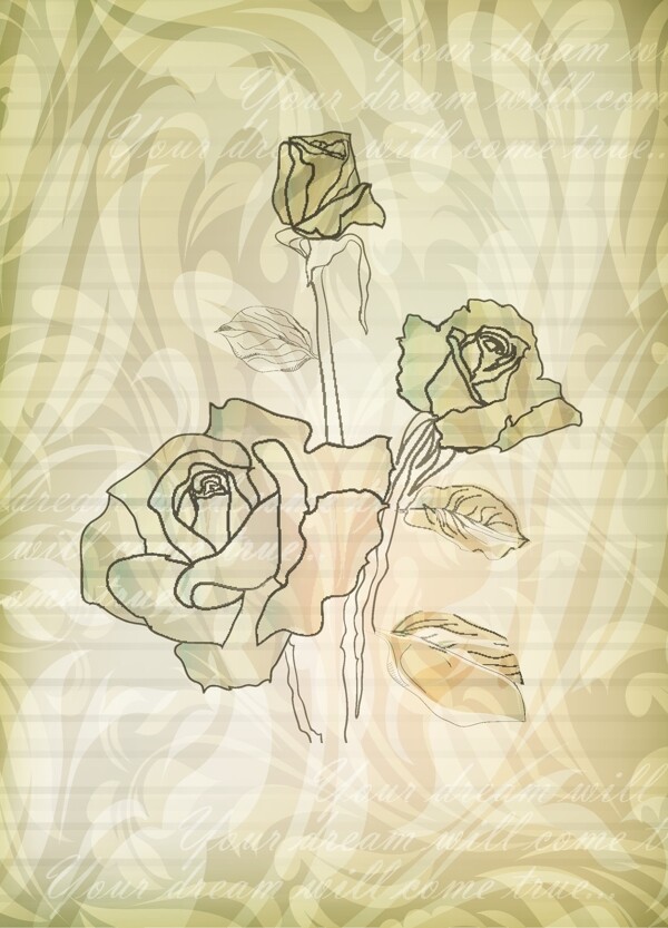 手绘玫瑰淡雅玫瑰图片