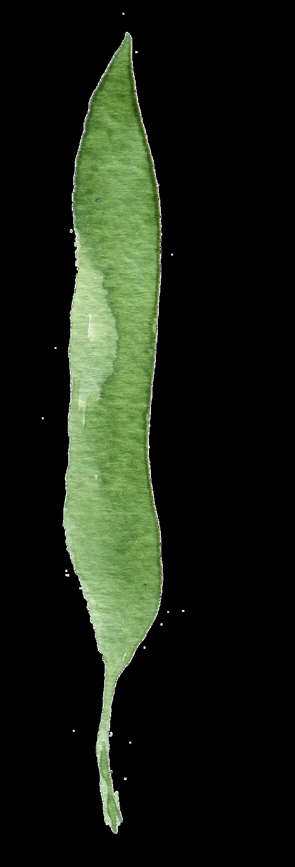 扁绿豌豆卡通透明素材