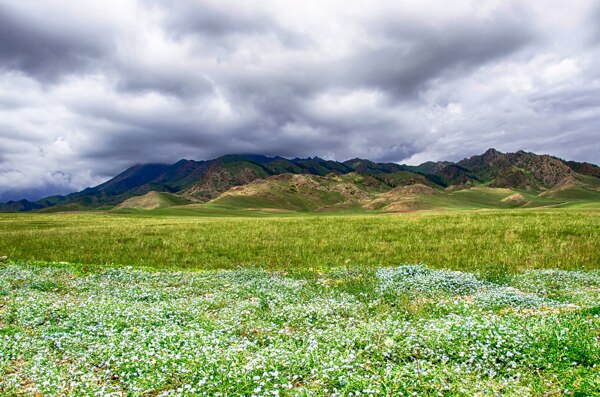 美丽的赛里木湖风景