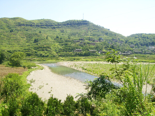 树植物水风景山