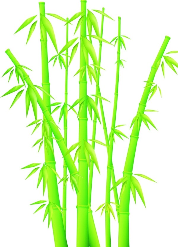 竹子矢量图图片