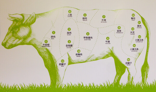 牛肉的分类图