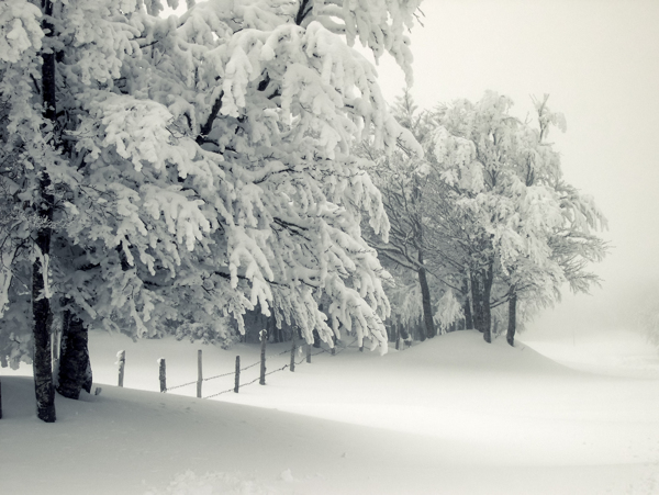 雪景如画