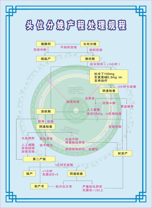 头位分娩产程处理规程图片