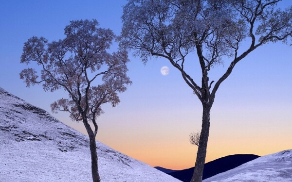 冬季黄昏美景图片