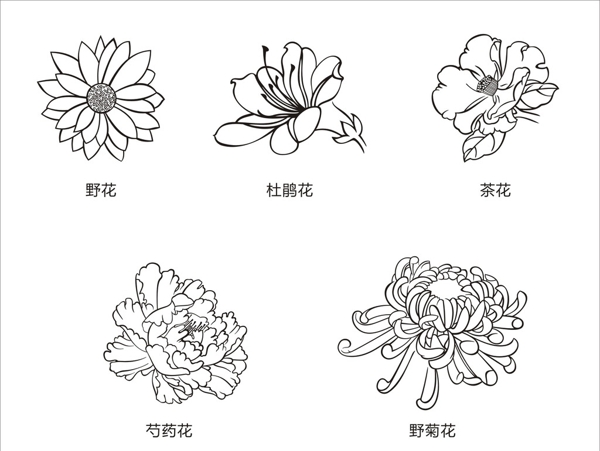 白描花卉