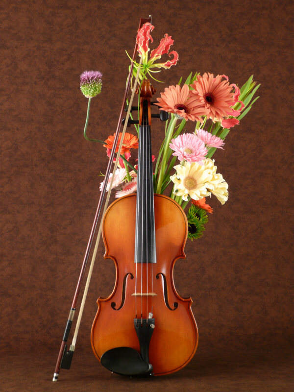 鲜花与小提琴图片