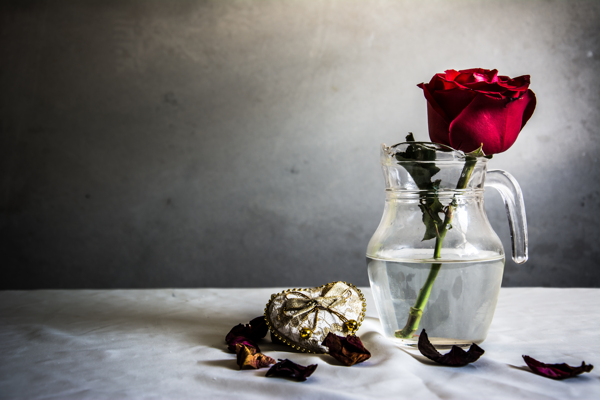 玻璃杯里的玫瑰花图片