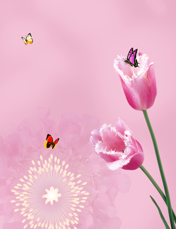 玻璃移门装饰图片粉红郁金香蝴蝶