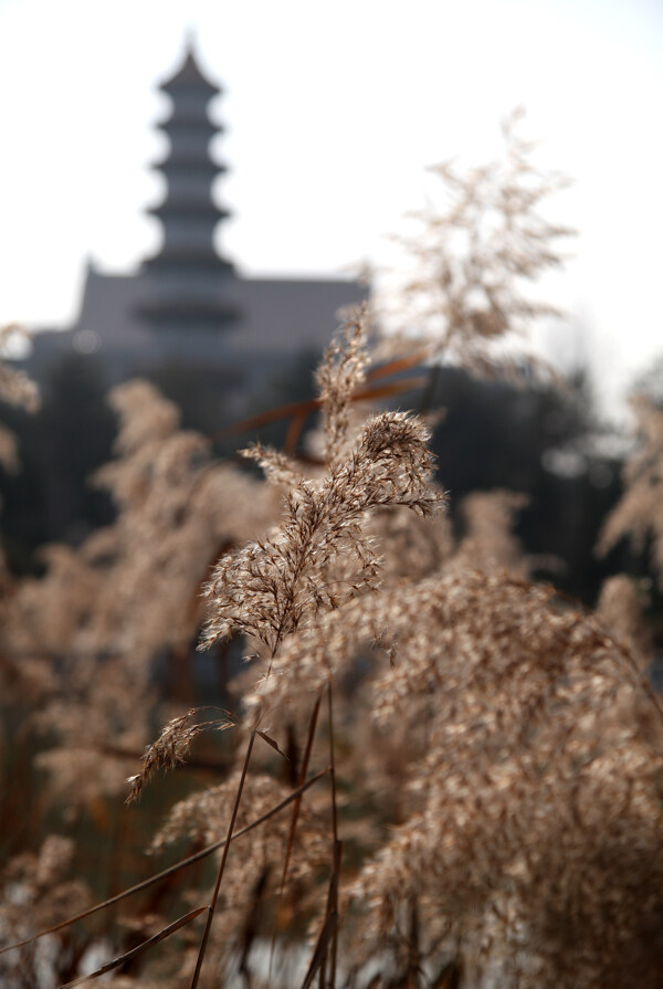 重阳宫图片