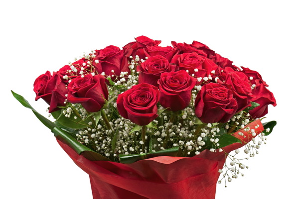 鲜艳红玫瑰花束图片