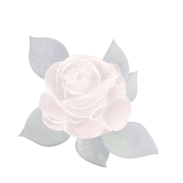 典雅手绘粉红色玫瑰花