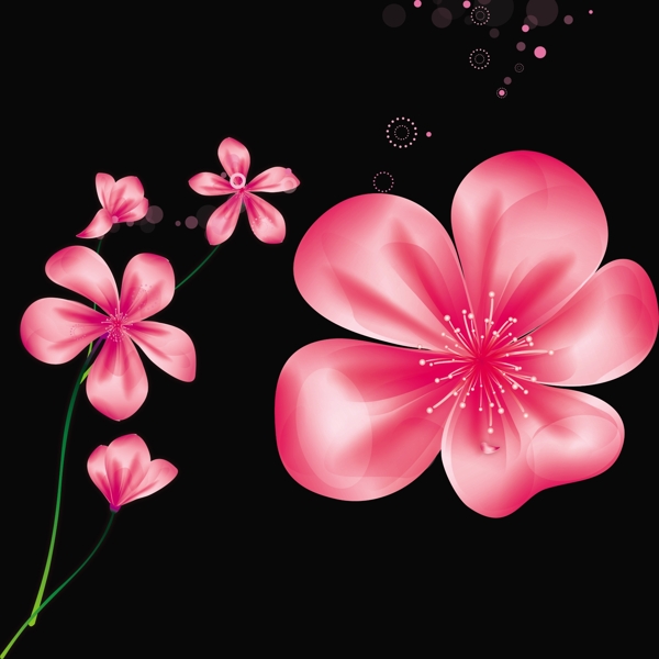 粉色花朵手绘图片
