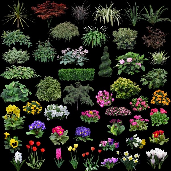 花卉植物分层素材图片