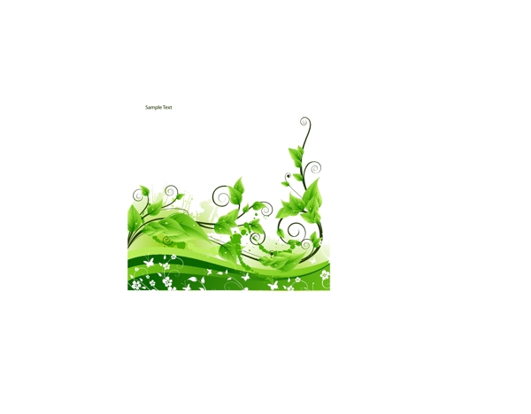 绿色藤类植物