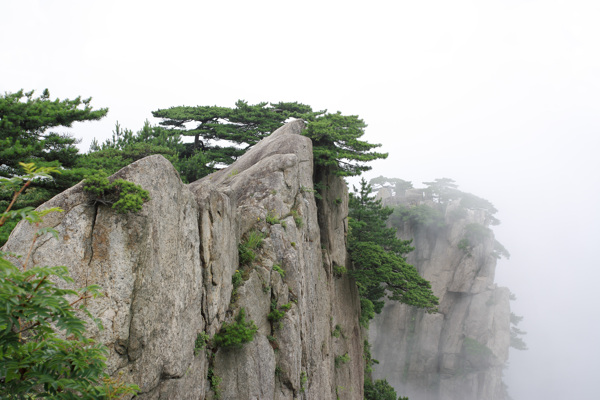 黄山图片