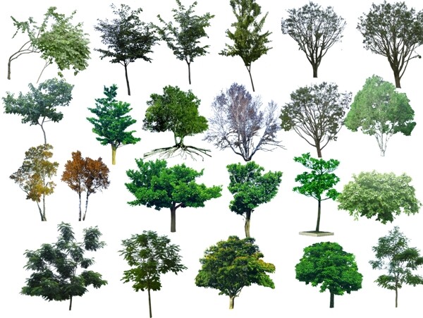 园林绿色树木设计PSD分层素材图片