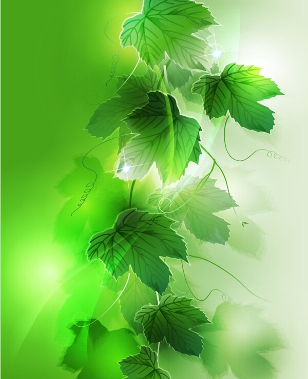 梦工厂的背景矢量素材5藤类植物的绿色叶子的幻想