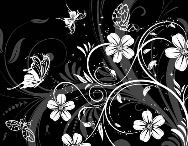 黑白色蝴蝶花纹