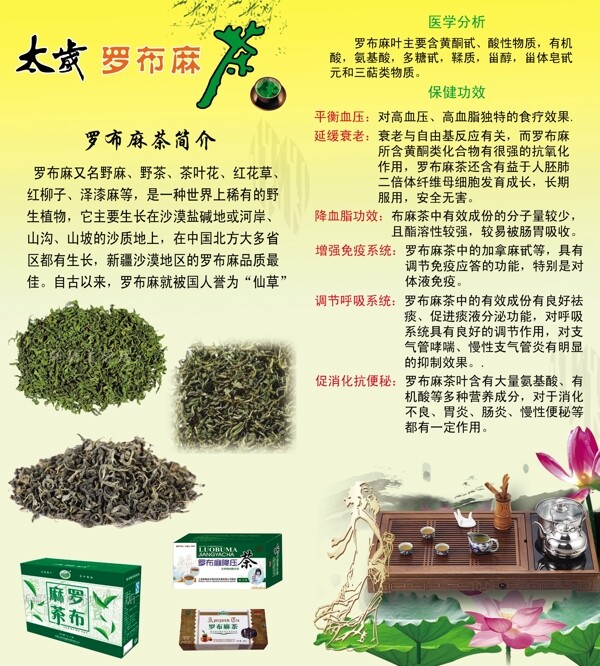 罗布麻茶图片