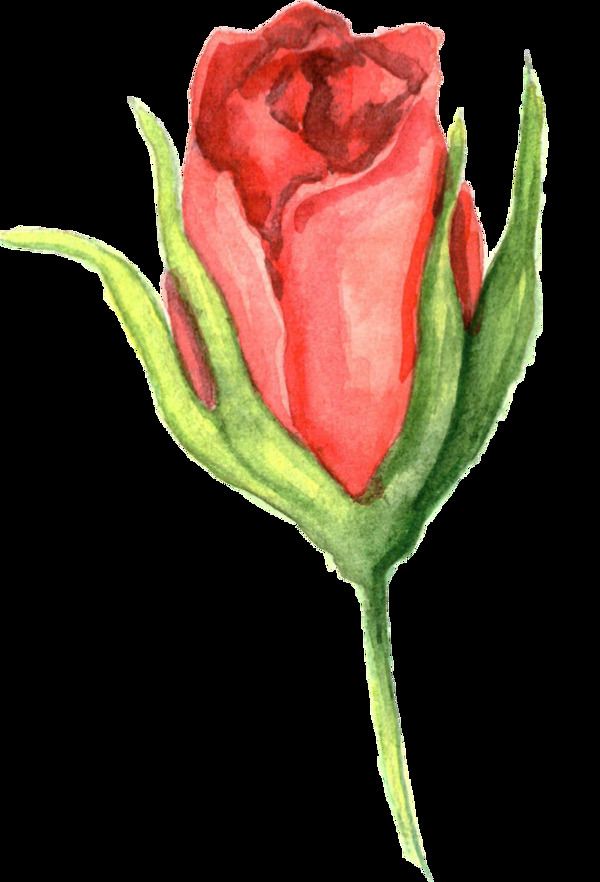 红心玫瑰卡通透明素材