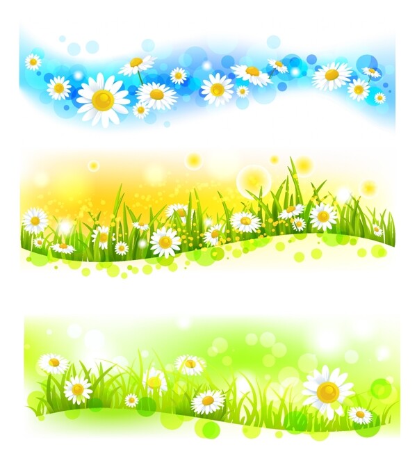 绿草地鲜花春天背景图片