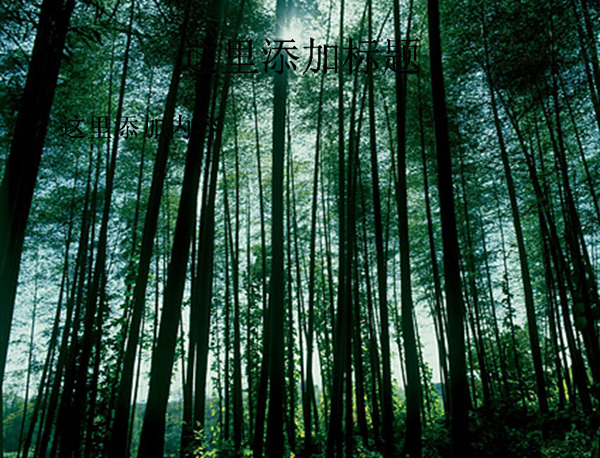 茂密的树林PPT模板范文素材风景PPT模板范文