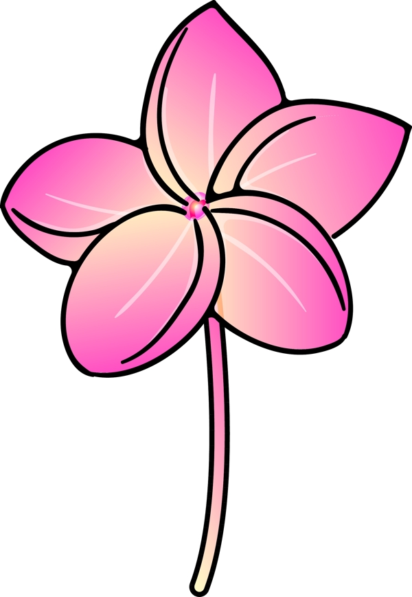 手绘粉色鲜花植物