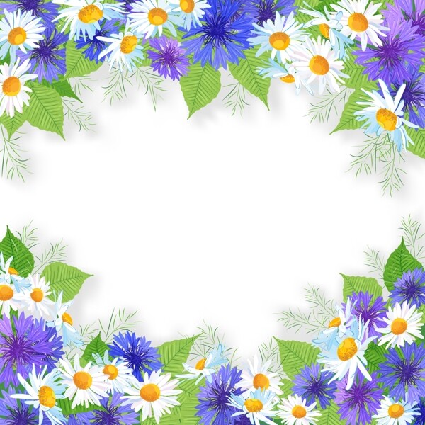 白色与紫色菊花边框