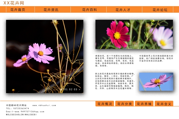 花卉网站页面