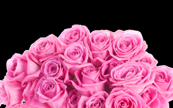 清新粉色玫瑰花花朵花束实物元素