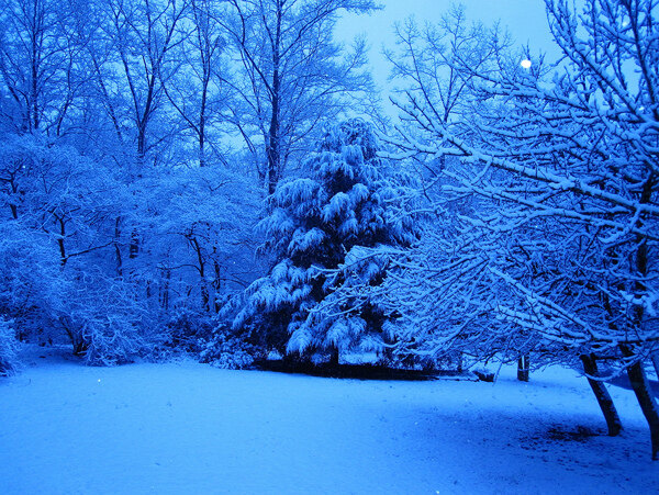 蓝色调的雪地