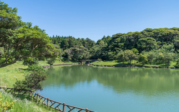 日本种子岛