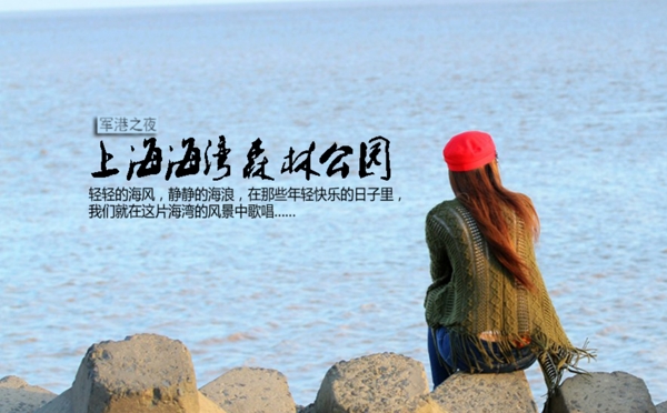 上海海湾森林公园门票海报
