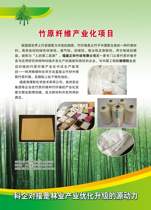 林业厅展板竹纤维图片