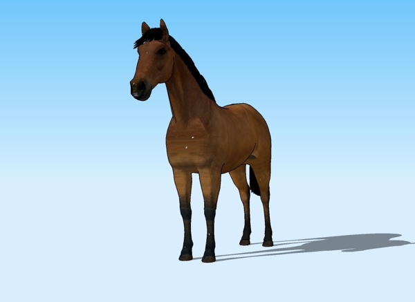 野马3D模型图片