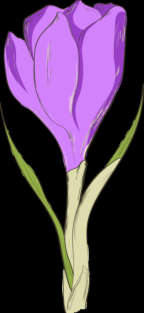 手绘一朵紫色花苞透明花朵素材