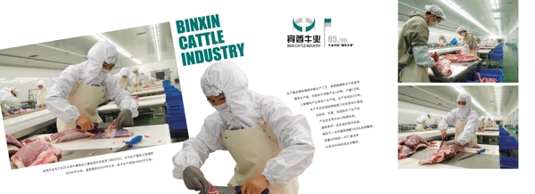 宾西牛业企业宣传册0708